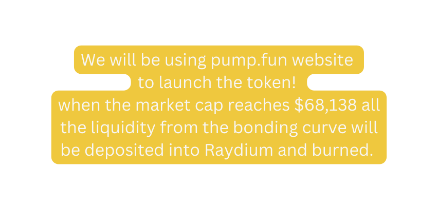 We will be using pump fun website to launch the token when the market cap reaches 68 138 all the liquidity from the bonding curve will be deposited into Raydium and burned